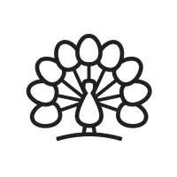 Alessandro Express Nail Studio