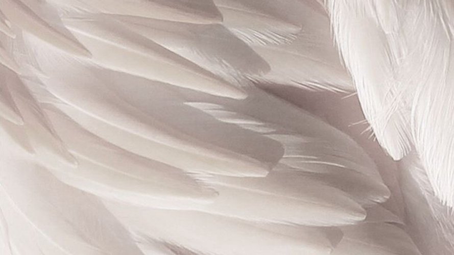 Angel Hair Boskovice- Tereza - Gallery Image 1