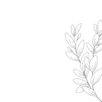 nikōrero · massage spot