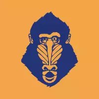 PAVIANS Smetanova 5 Brno