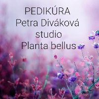 Planta bellus 