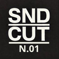 Syndicut N.O1